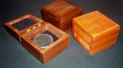 Mysterious Wooden Coin Box